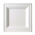Renewable Square Sugarcane Plates, 10.25 x 10.25, Natural White, 50/Pack, 5 Packs/Carton