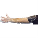 Large Clear HDPE Gloves 10/100
