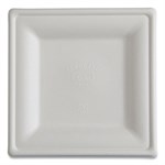 Vanguard Renewable and Compostable Sugarcane Plates, 10 x 10, White, 250/Carton